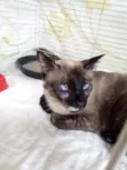 Ludmila