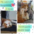 Resgatinho