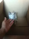 Mia