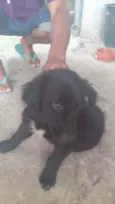Neguinho lindo