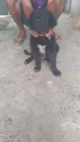 Neguinho lindo