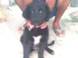 Neguinho lindo
