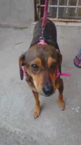 Nina