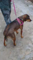 Nina