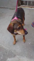 Nina