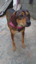 Nina