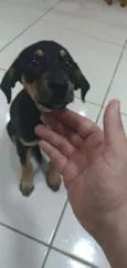 Esperança