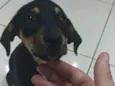 Esperança