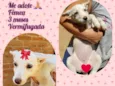 sem nome