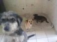 Theo,Titan,Thor
