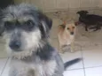 Theo,Titan,Thor