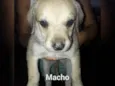 Sem nome 