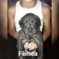 Sem nome 