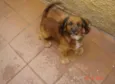 Bob