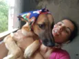 Cachorro raça SRD-ViraLata idade 7 a 11 meses nome SASHA