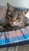 LULY