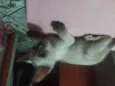 Não demos nome