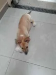 Princesa 