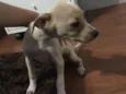 Não têm ainda 