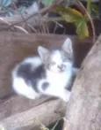 Bebê