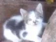 Bebê