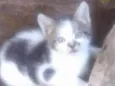 Bebê