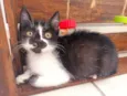 Félix