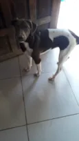 Tempestade