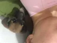 Dois filhotes machos