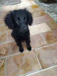 Bebê Anjo