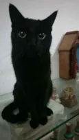 Lipe