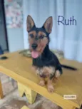 Ruth