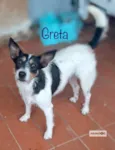 Greta