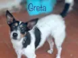 Greta