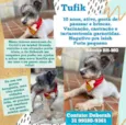 Tufik 