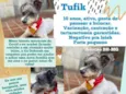 Tufik 