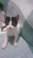 Tina