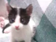 Tina