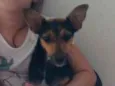 Belinha