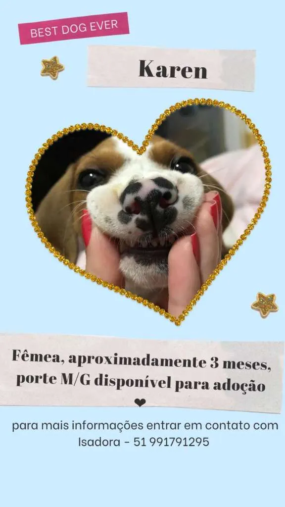 Cachorro ra a SRD-ViraLata idade Abaixo de 2 meses nome Karen