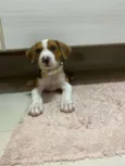 Karen