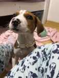 Karen