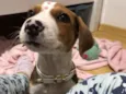 Karen
