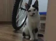 Lili