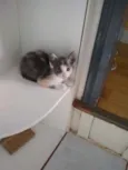 Faísca,amora,tom,epa