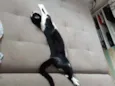 Oreo