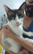 Irmão