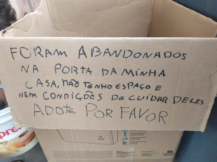 Cachorro ra a vira-lata idade Abaixo de 2 meses nome Eles não tem nome