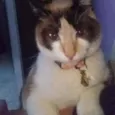 bel e Nina