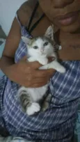 Docinho